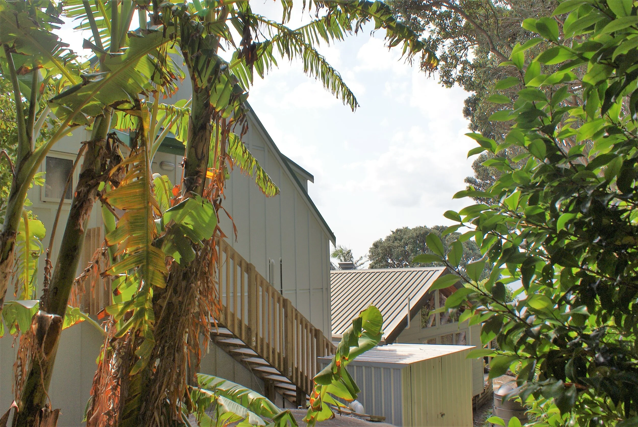 2019-12-05 15.54.37.jpg