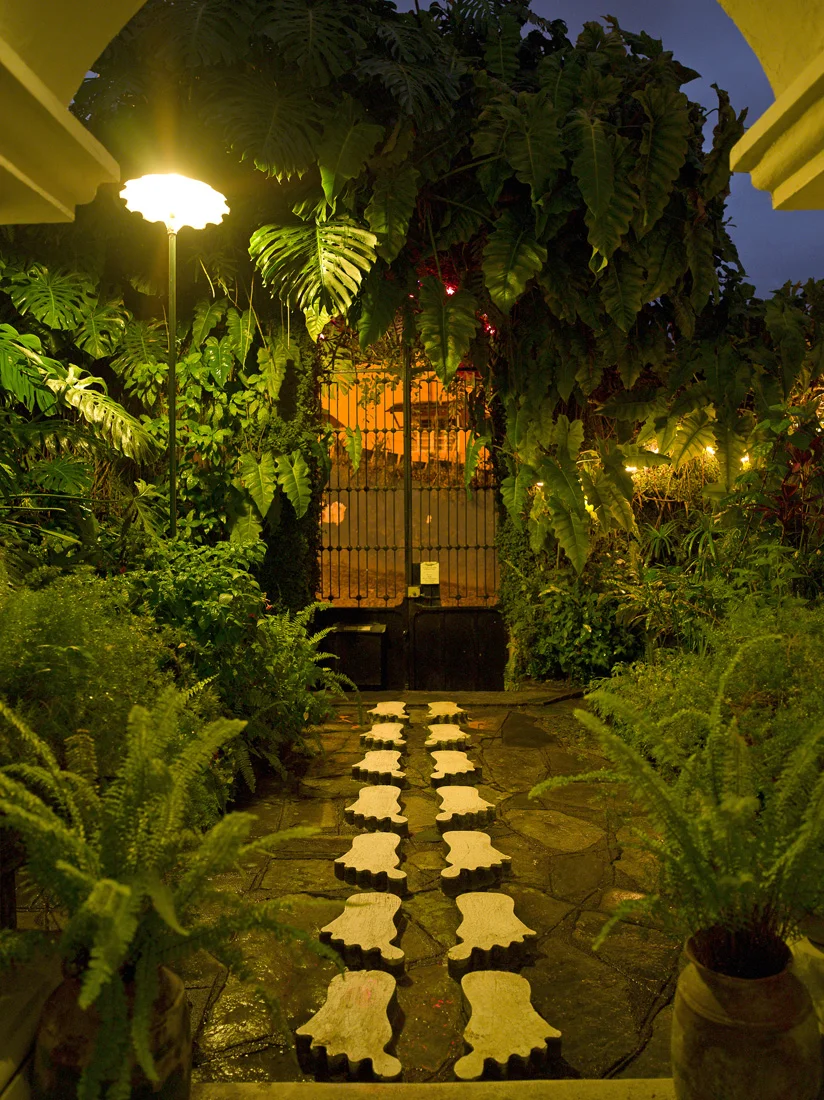 Xilitla-000339 copy.jpg