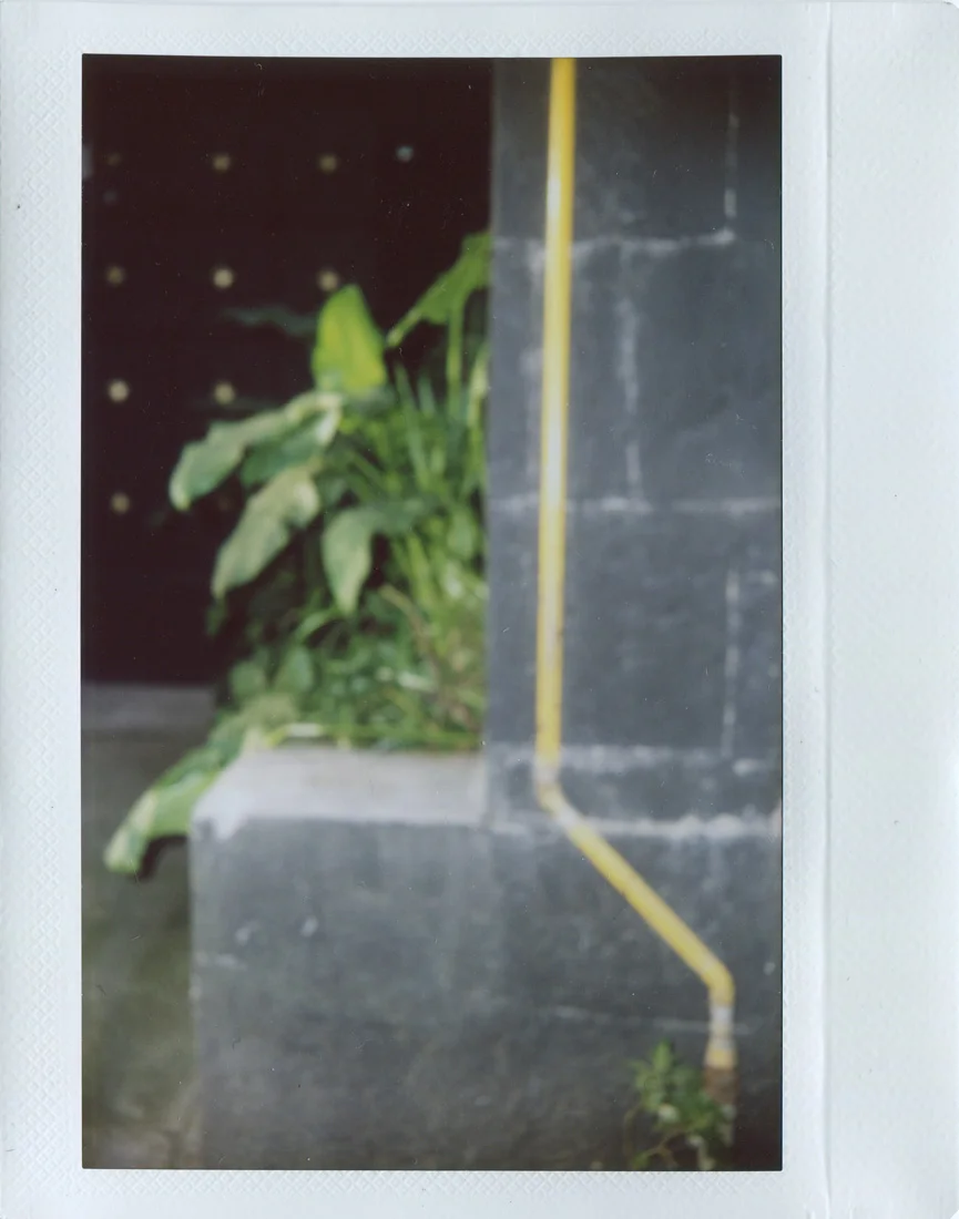 PolaScan17055 copy 2.jpg