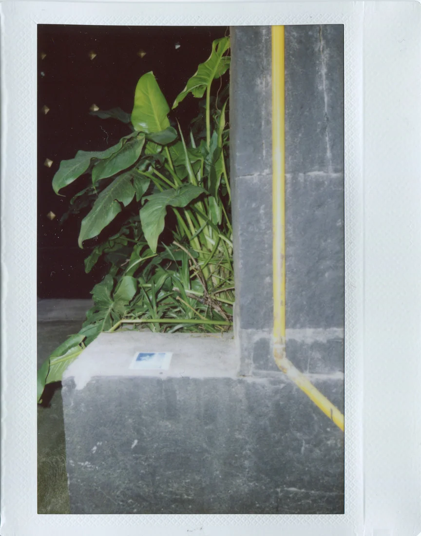 PolaScan17055 copy.jpg