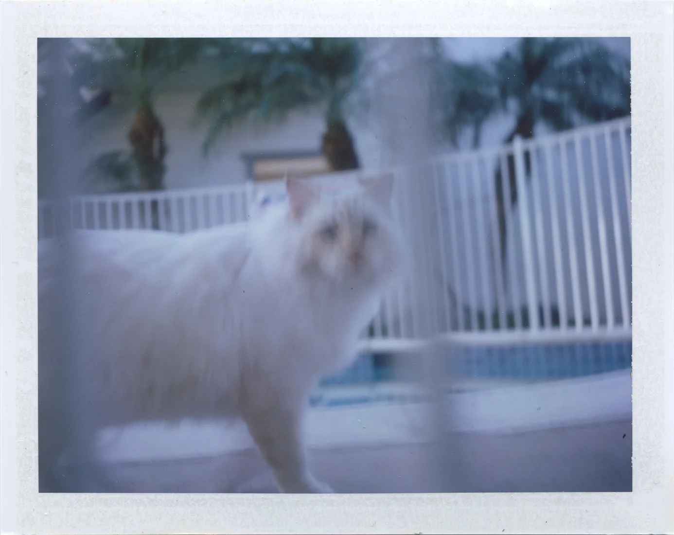 PolaScan17039 copy 2.jpg