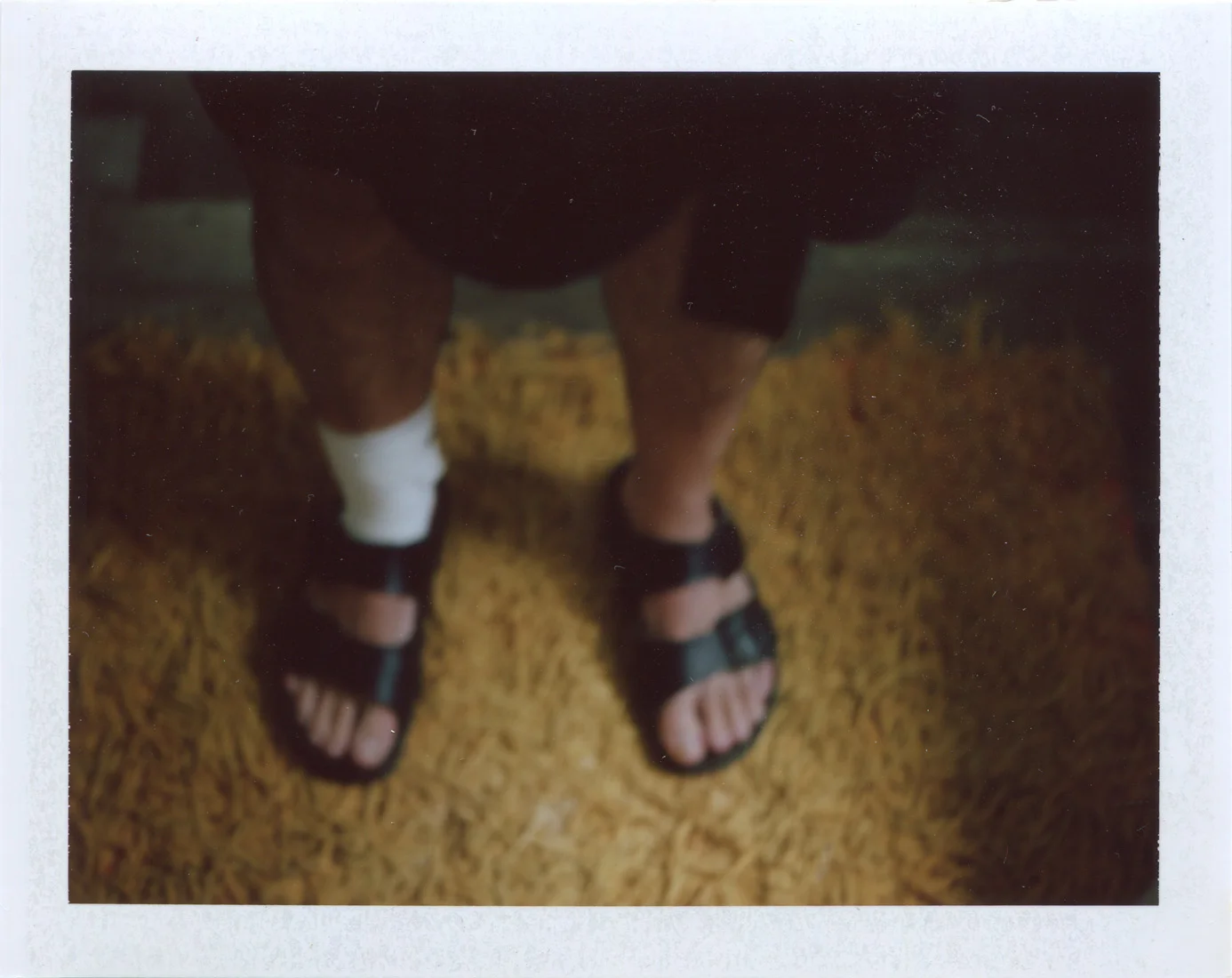 PolaScan17053 copy 2.jpg