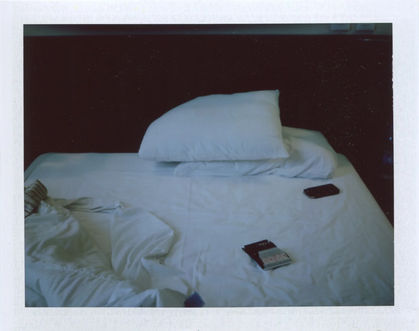 PolaScan17054 copy 2.jpg