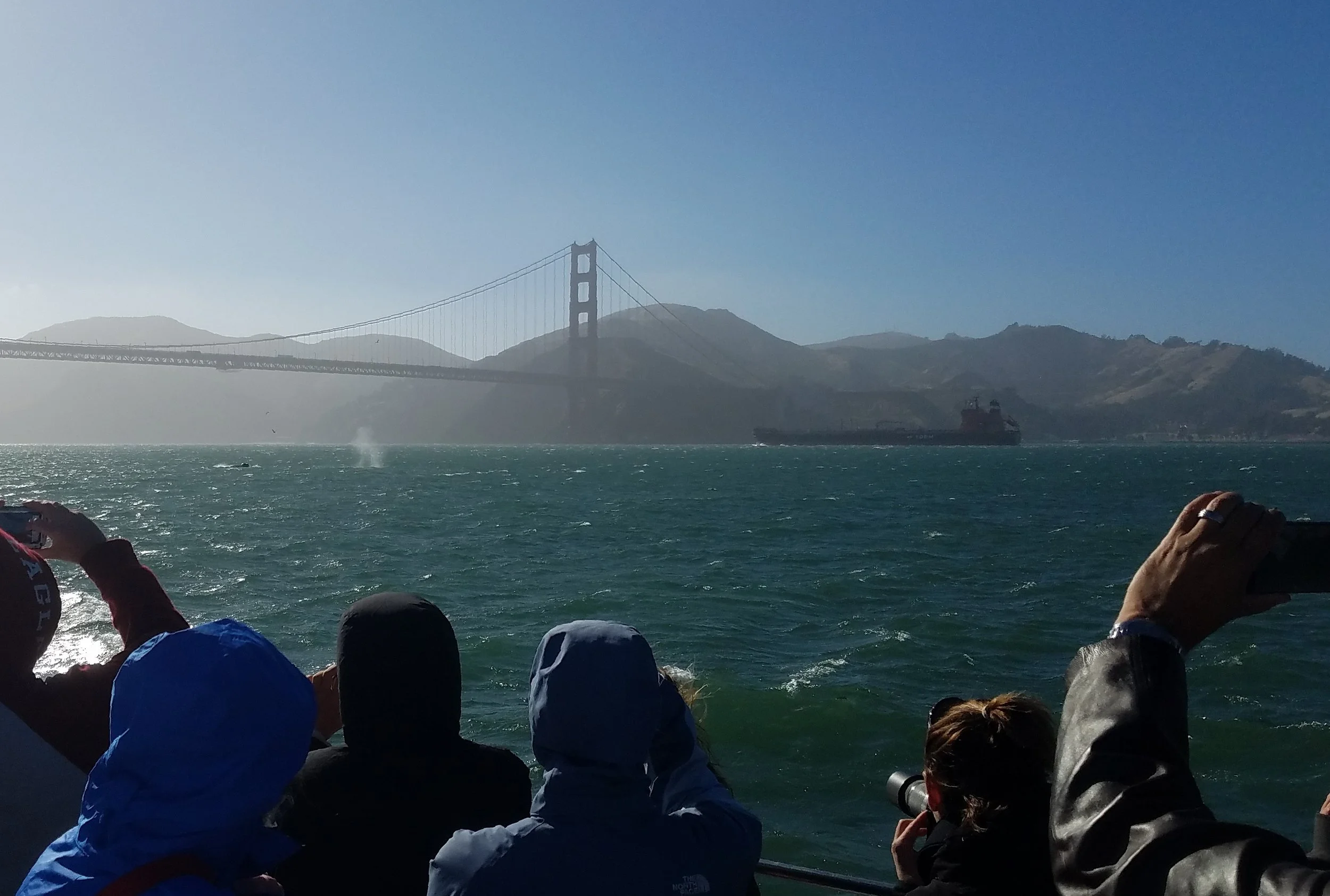 The whale's back is out of the water; the wind is quickly blowing the spout across the surface of the water. A large fuel ship passes under the bridge in the background.