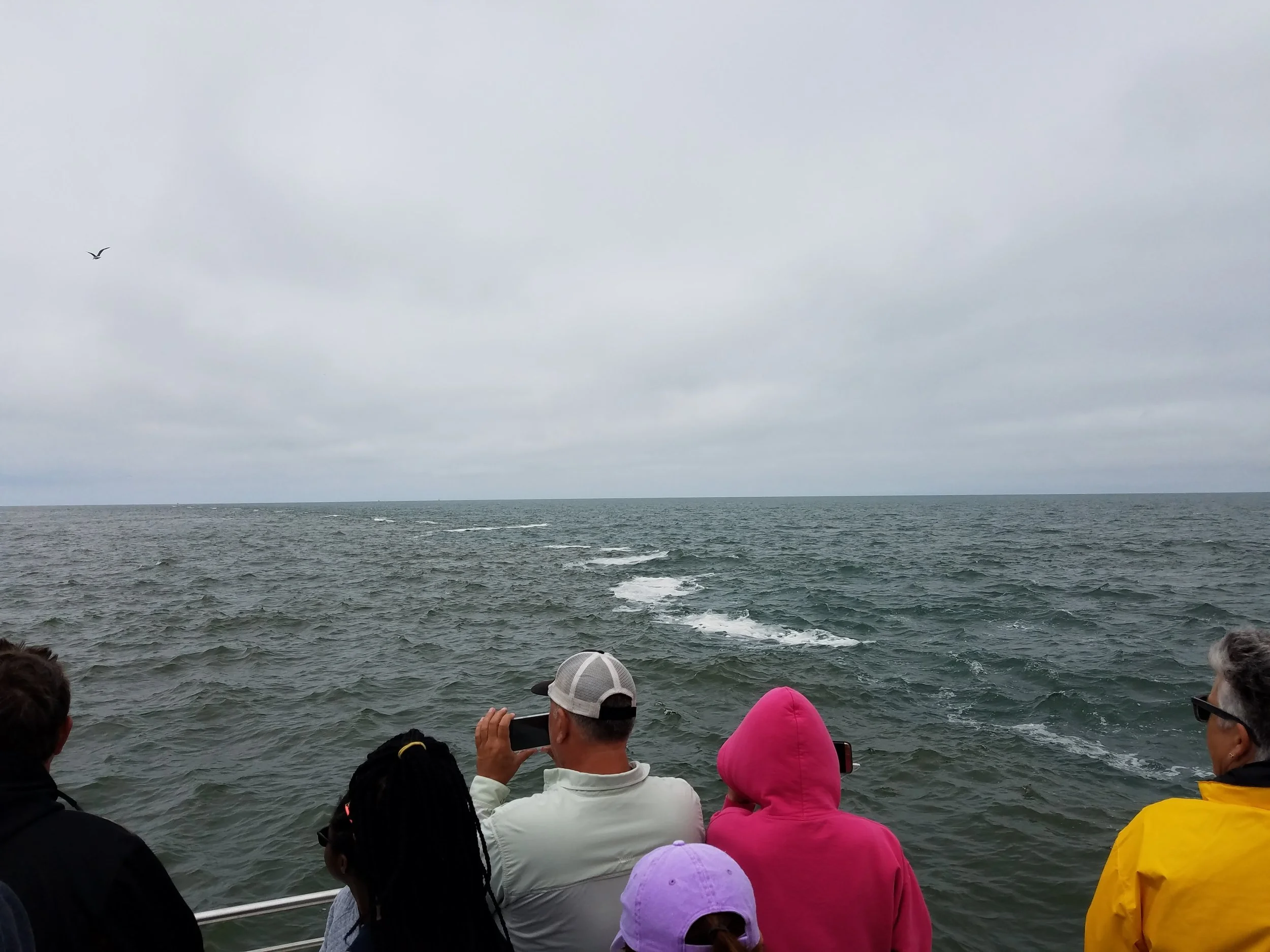 A foamy tide line separates the bay and ocean water. 