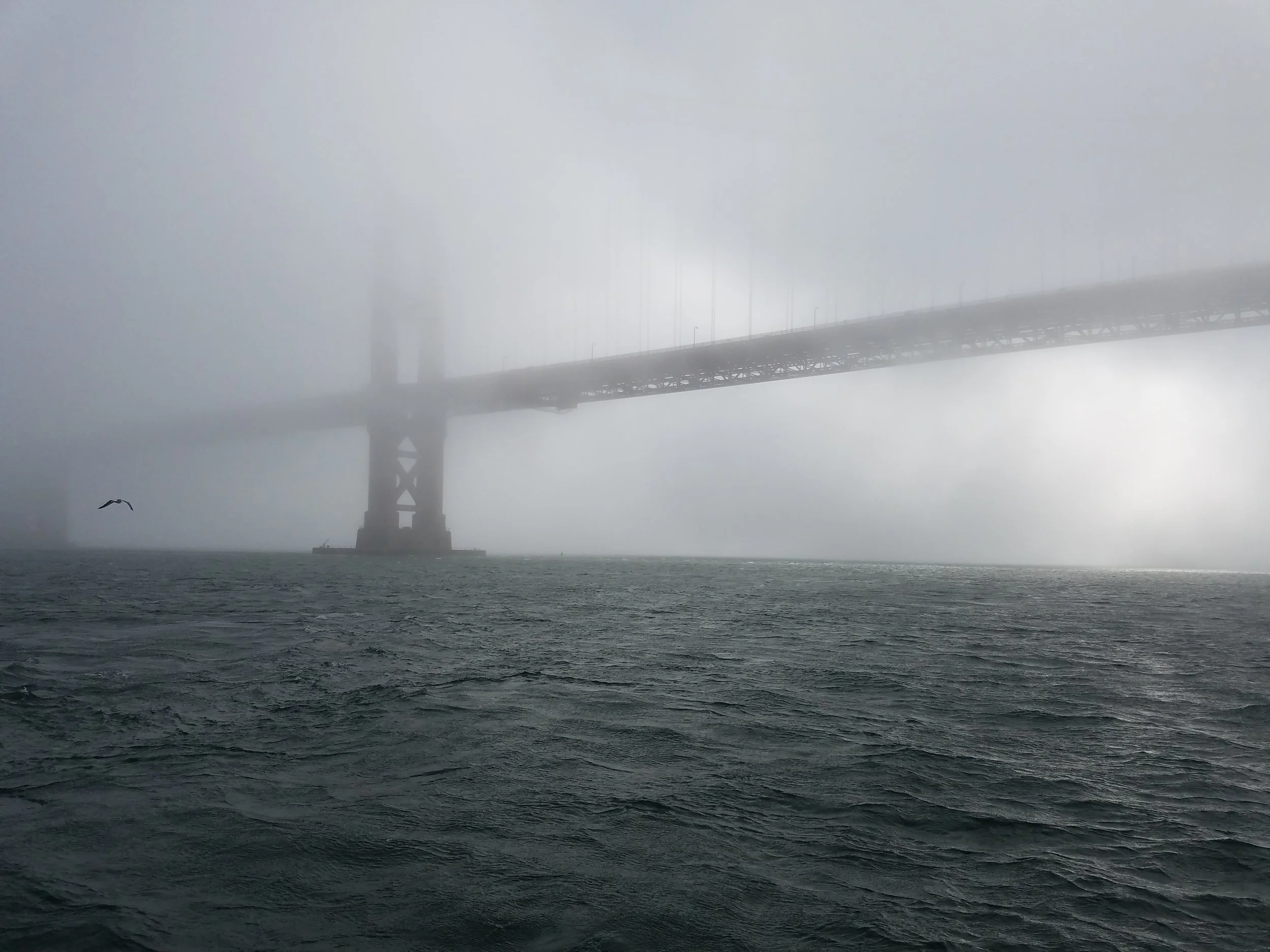 The bridge through the fog. 