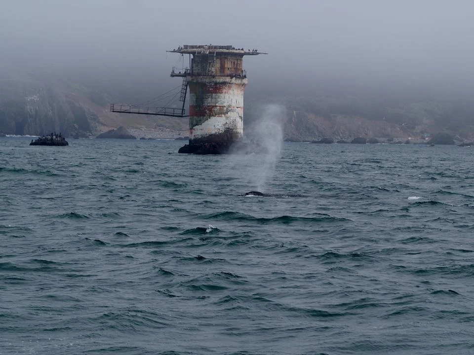Spout by Mile Rock. Photo by Kat Nazar. 