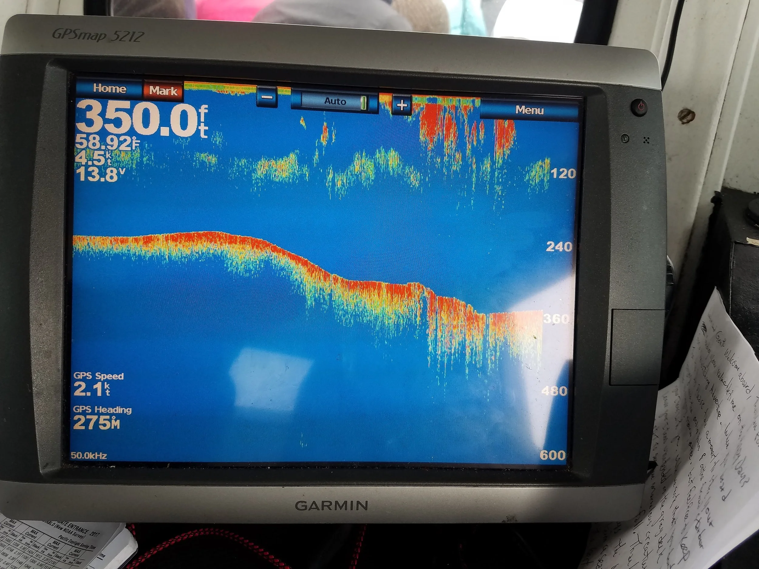 Lots of anchovies in deep water!