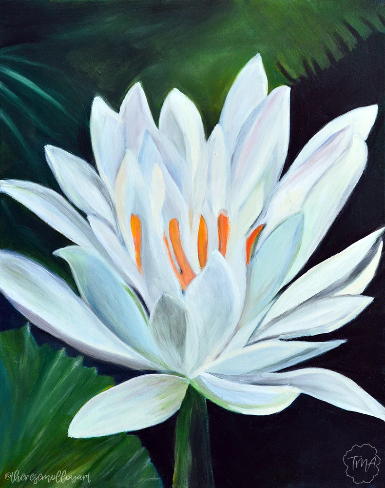 DSC_0075-edit-french-waterlily.jpg