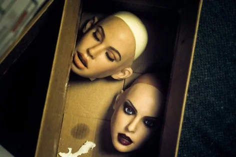 sex doll gennie Rubber Wife: Living with a Sex Doll — Bird In Flight main image 0