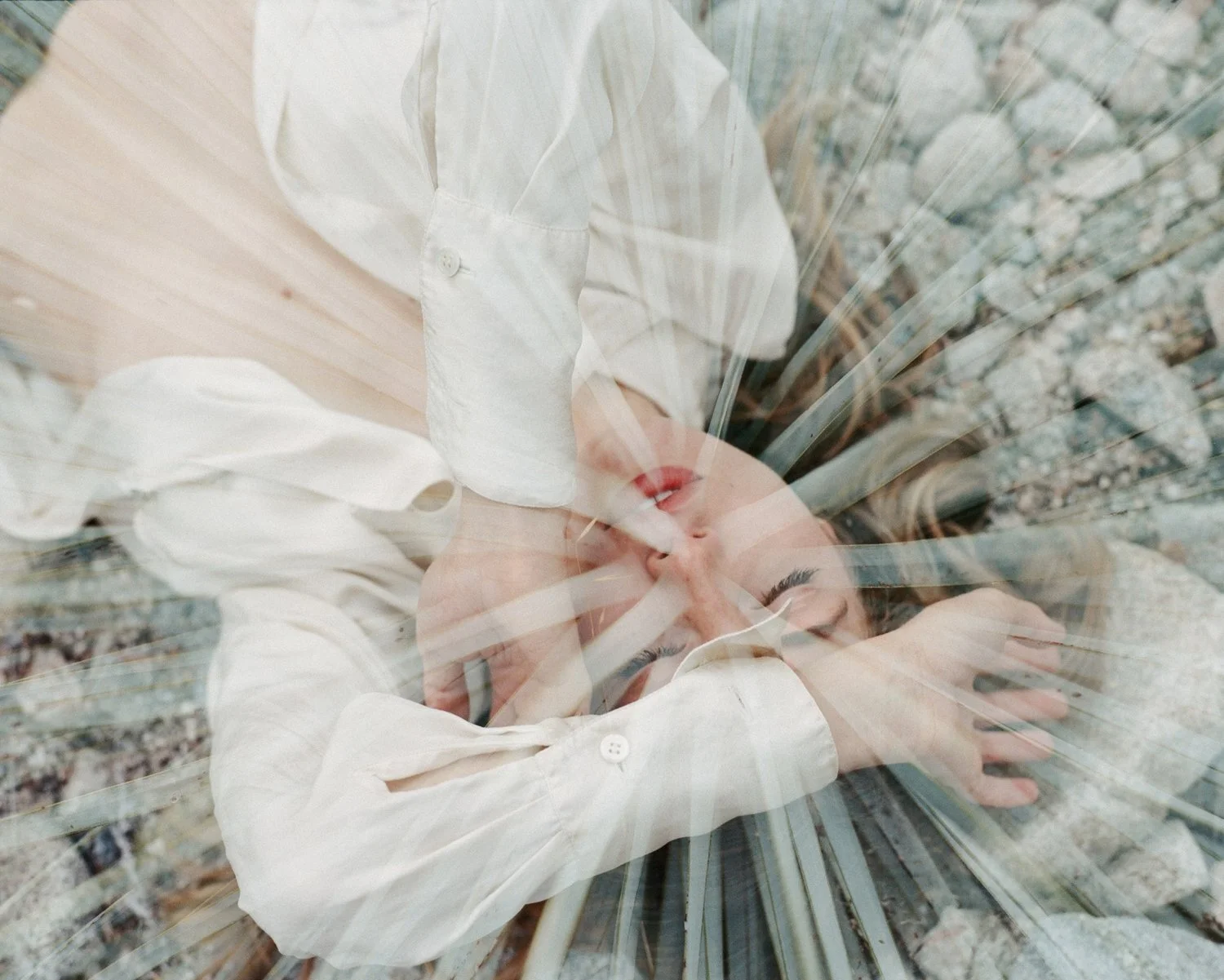 000005480005+rt+f+crop.jpg