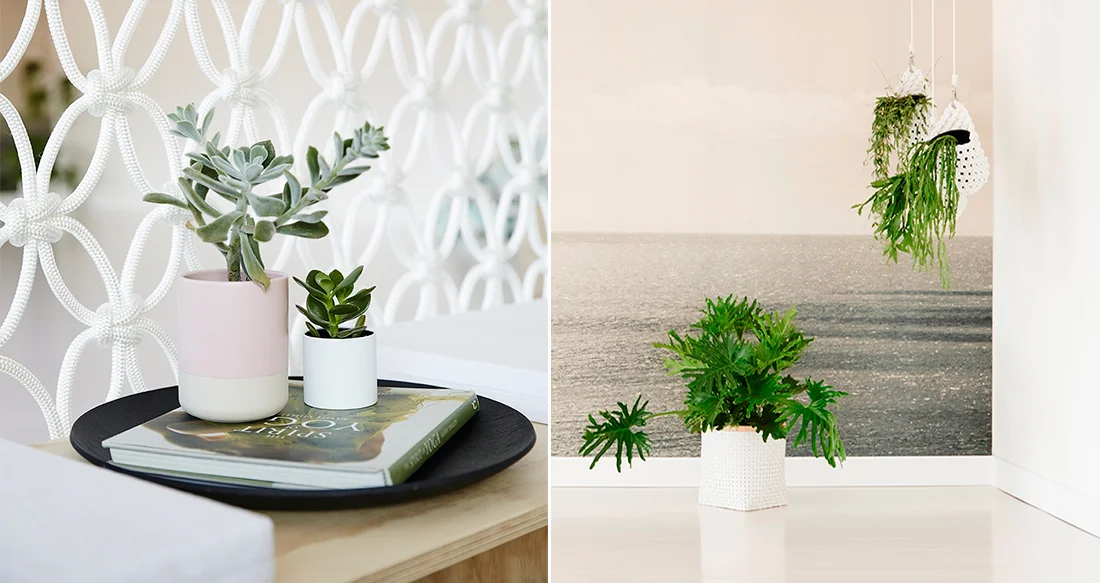 KOEL Stories | KOEL Interiors: 3 Macramé-filled Spaces That Are Inspiring Us Right Now