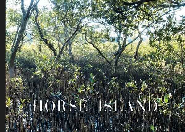 christina-kennedy_horse-island.jpg