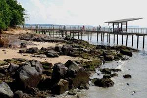 boardwalk-1.jpg