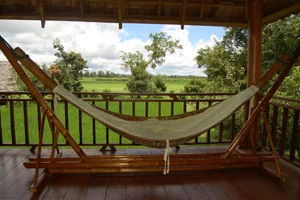 lovely-view-from-this-hammo.jpg