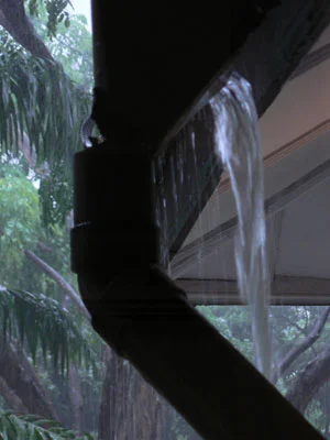 warmer-temperatures-lead-to.jpg