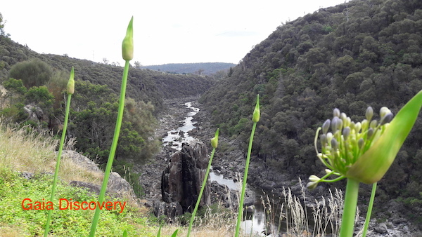 Cataract Gorge Reserve offers great views of plunging cliffs, which can be enjoyed by a walk along its trails or a chair lift.