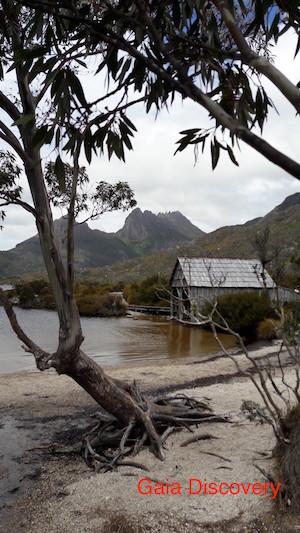 A boathouse sits solitary on the verge of a lake at Cradle Mountains National Park.