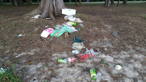 Plastic disposables continue to choke coastal areas such as this picnic spot in Tanah Merah, Singapore. Image: NUS ToddyCats.
