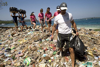 How many bags will clear this shore full of trash?