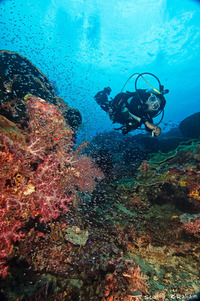 Mallika revels in Gaia's glory underwater.
