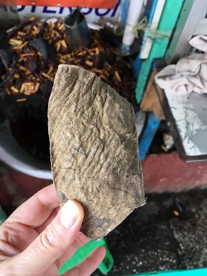 Elephant skin not just tusks are in demand.