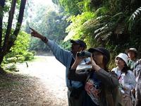 Durai stresses the use of all senses when trekking to enjoy nature.