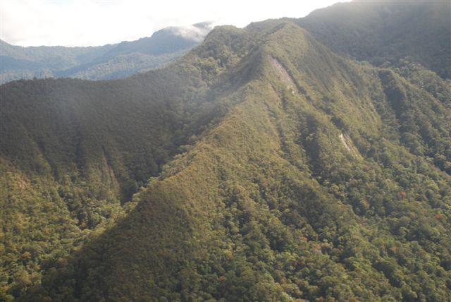 Kelabit highlands.