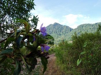 Free views with ecological discoveries while caving in Kuching.