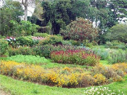 Flower Gardens at Eden Nature Park.