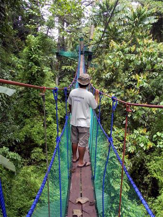 Skybridge at Macahambus Nature Park offers scenic views
