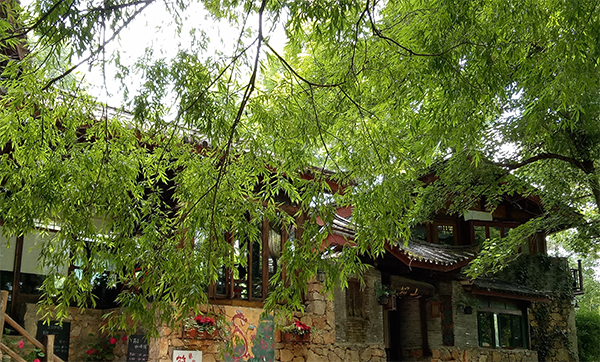 Django Guest House at Shuhe Old Town