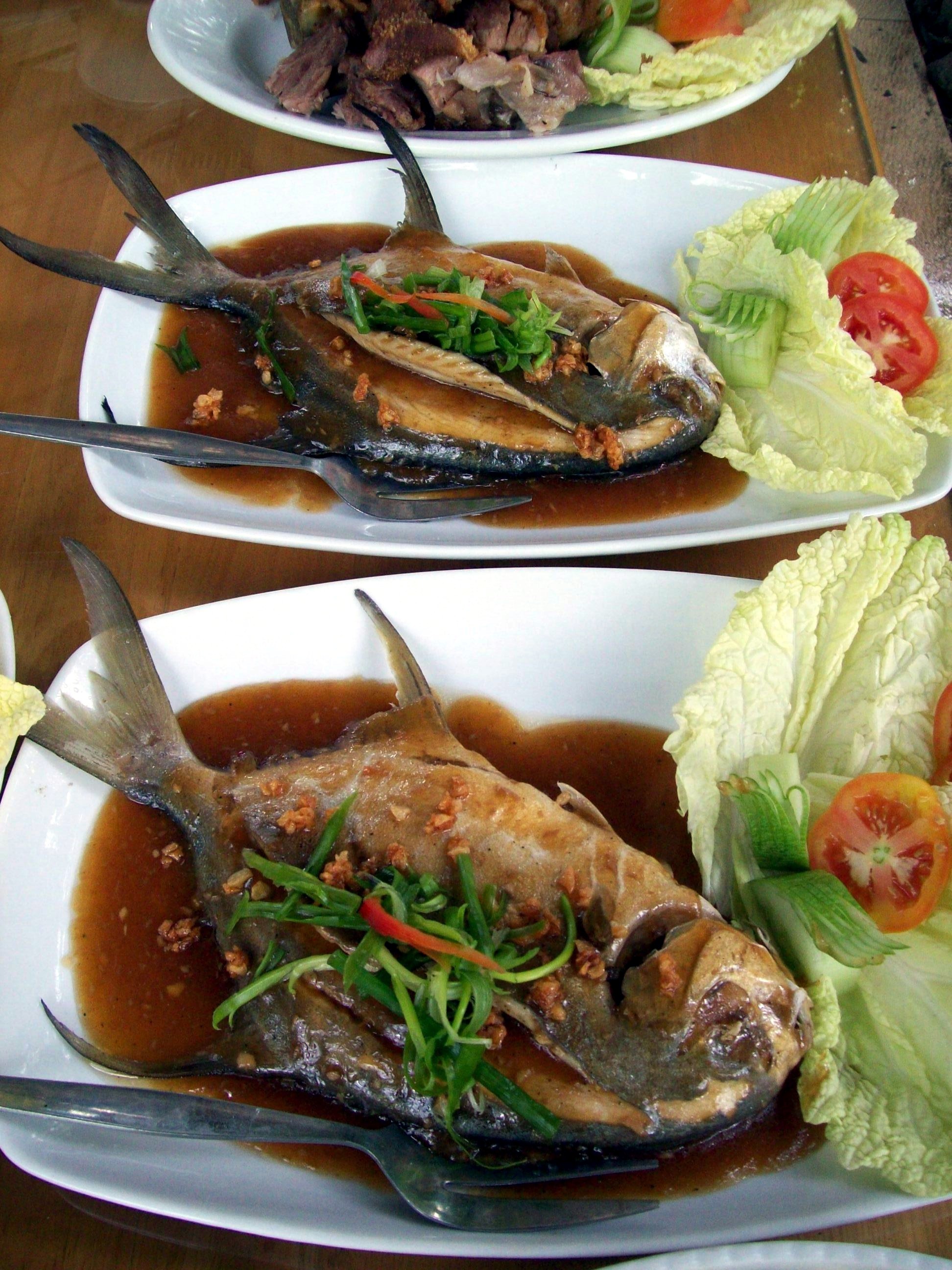 Fish needed for nutrition