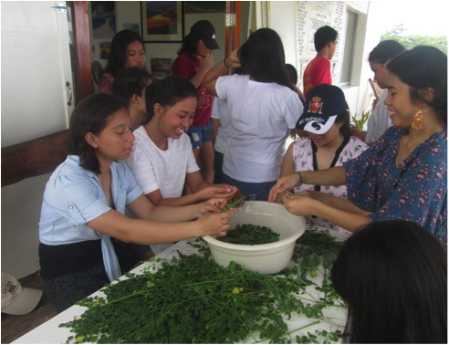 At the SEA CAMP in Barangay, youths learn how to cook what they farm and harvest as with this malunggay. Photo by June Lavil Quinanola.