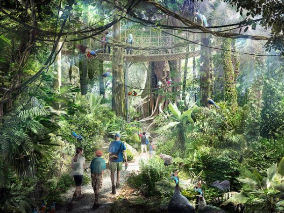 © Image: Mandai Park Holdings - Artist's impression of the rainforest walk at Mandai's integrated nature and wildlife hub. 