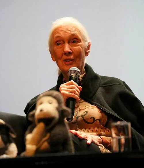 Jane Goodall: Act to Conserve, Prevent Climate Change