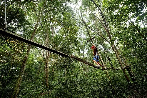 Cherating also runs trips into the surrounding jungle for its guests to enjoy and understand the ecology. Courtesy Club Med.