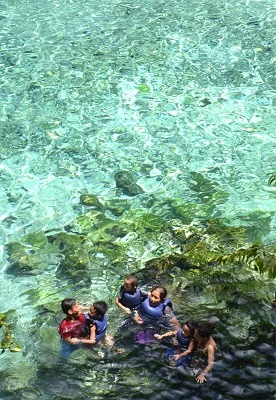Just around 600m away from Hinatuan Bay lies the clear Enchanted River.