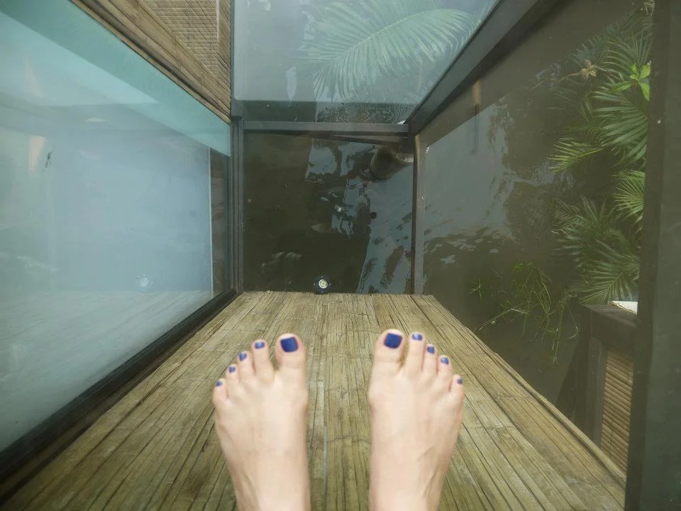 Want close to nature? You've got it . . . Courtesy Tree House.