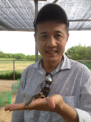 A turtle saved is nature's victory against all odds for Alexander Yee