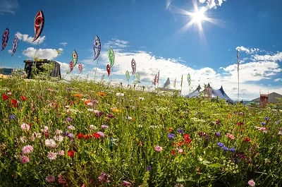 Pohoda promises green, flowers, music and a great vibe. Courtesy Pohoda.