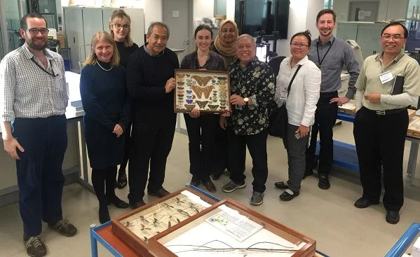 The Wallace Project - the teams from ECOMY and Yayasan Hasanah visit the digitisation work by the Project Collaborator, British Natural History Museum