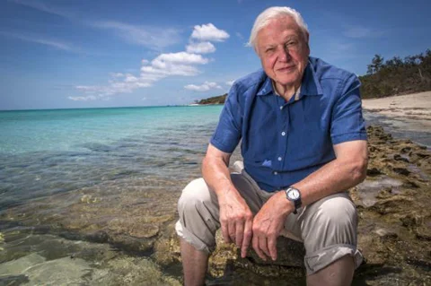 "We could actually do something about plastic, right now" - David Attenborough. Courtesy Wikipedia.