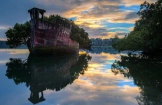 The vegetation colonising SS Ayrfield is astonishing in its quantity (photo credit KarmaDecay)