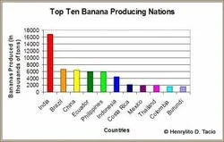 Maybe surprisingly, India grows more bananas than any other country - then eats most of them.