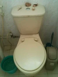 Blue bucket placed next to loo conveniently.