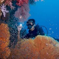 gaiadiscovery-WinDives-1-2215646-12937328-thumbnail.jpg