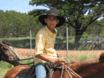 Short Joes Horse Trail Rides at Palm Island.