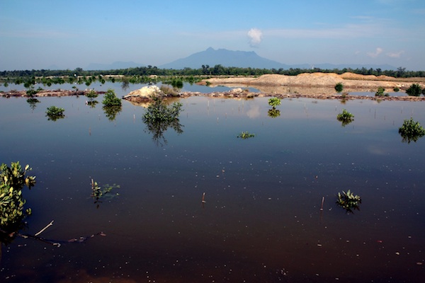Kuching Wetland National Park supports lifeforms including endangered animals.