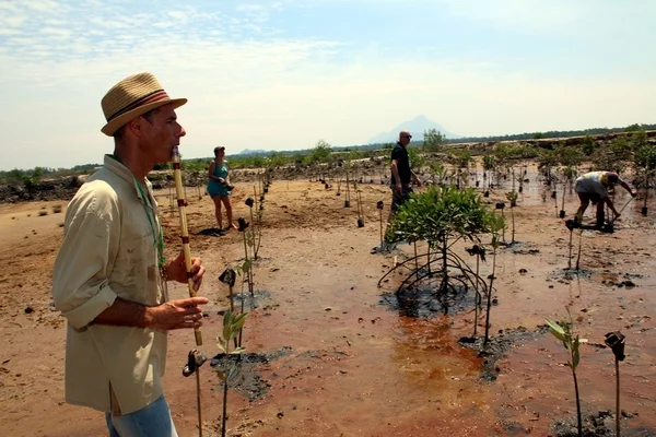 Planting trees is apt for the Rainforest World Music Festival, says the inspired musician Christophe Erard.